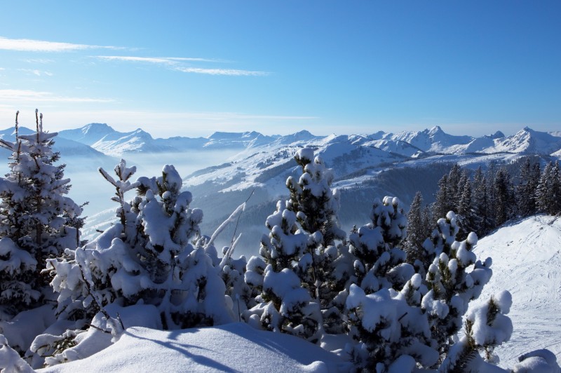 Saalbach and Hinterglemm